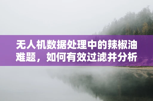 无人机数据处理中的辣椒油难题，如何有效过滤并分析高浓度数据流？