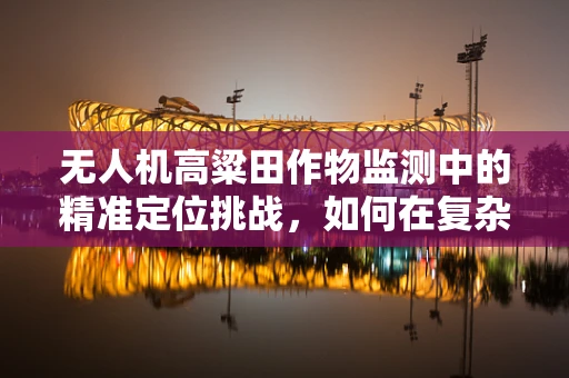 无人机高粱田作物监测中的精准定位挑战，如何在复杂地形中实现高精度数据采集？
