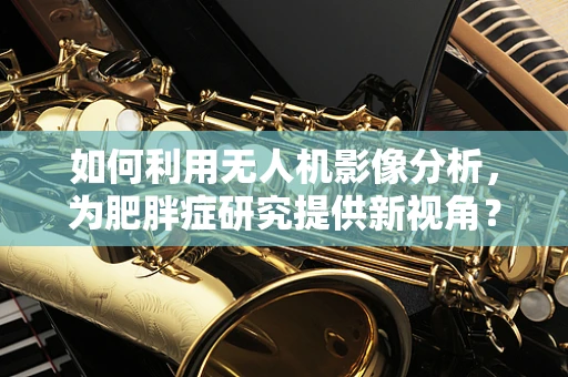 如何利用无人机影像分析，为肥胖症研究提供新视角？