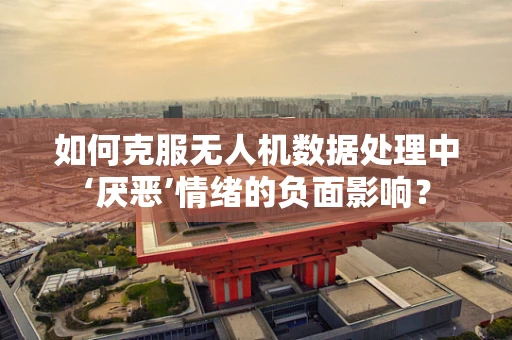 如何克服无人机数据处理中‘厌恶’情绪的负面影响？