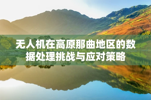 无人机在高原那曲地区的数据处理挑战与应对策略