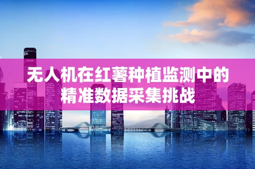 无人机在红薯种植监测中的精准数据采集挑战