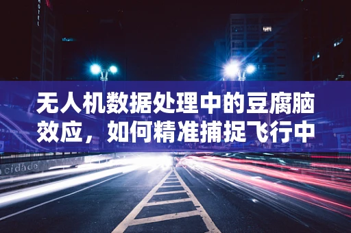 无人机数据处理中的豆腐脑效应，如何精准捕捉飞行中的微妙变化？