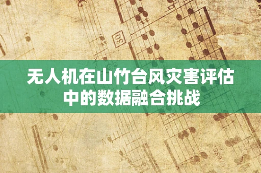 无人机在山竹台风灾害评估中的数据融合挑战