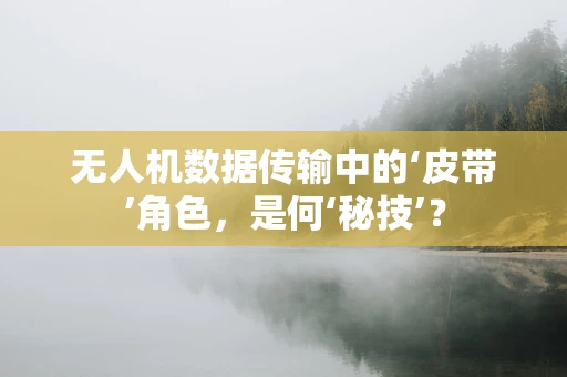 无人机数据传输中的‘皮带’角色，是何‘秘技’？