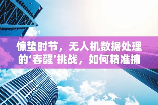 惊蛰时节，无人机数据处理的‘春醒’挑战，如何精准捕捉微妙环境变化？