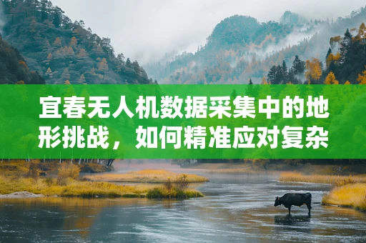 宜春无人机数据采集中的地形挑战，如何精准应对复杂地貌？