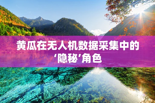 黄瓜在无人机数据采集中的‘隐秘’角色