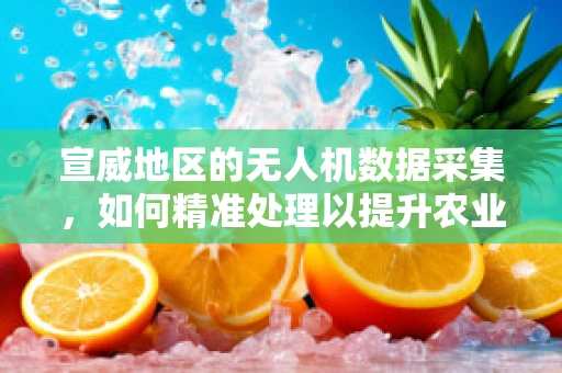 宣威地区的无人机数据采集，如何精准处理以提升农业监测效率？
