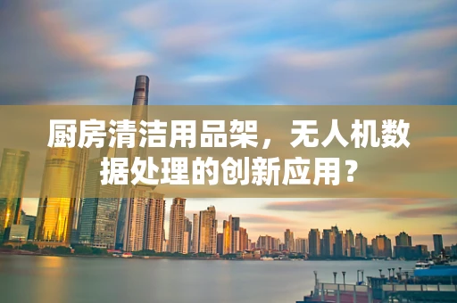 厨房清洁用品架，无人机数据处理的创新应用？