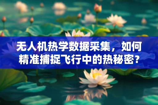 无人机热学数据采集，如何精准捕捉飞行中的热秘密？