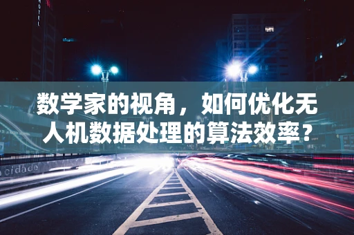 数学家的视角，如何优化无人机数据处理的算法效率？