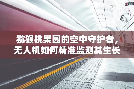 猕猴桃果园的空中守护者，无人机如何精准监测其生长状况？