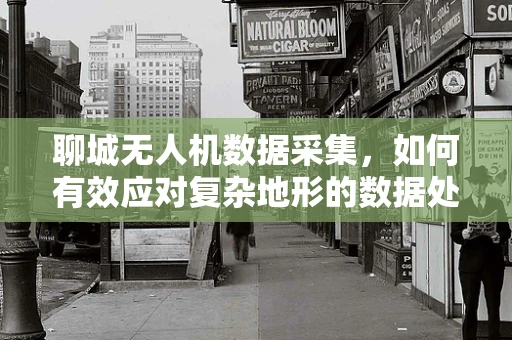 聊城无人机数据采集，如何有效应对复杂地形的数据处理挑战？