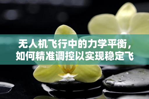 无人机飞行中的力学平衡，如何精准调控以实现稳定飞行？