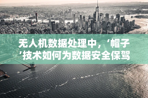 无人机数据处理中，‘帽子’技术如何为数据安全保驾护航？