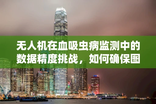 无人机在血吸虫病监测中的数据精度挑战，如何确保图像分析的准确性？