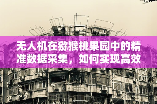 无人机在猕猴桃果园中的精准数据采集，如何实现高效与精确的平衡？
