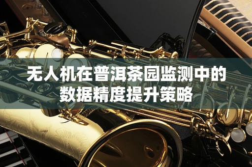 无人机在普洱茶园监测中的数据精度提升策略