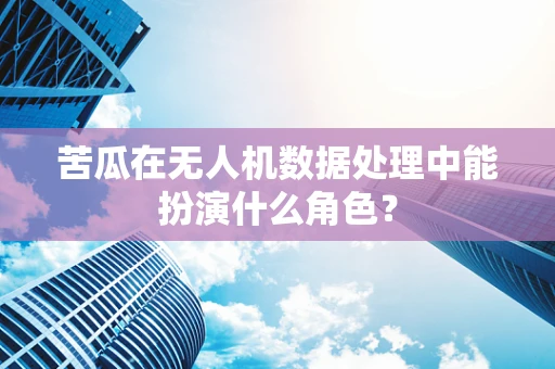 苦瓜在无人机数据处理中能扮演什么角色？