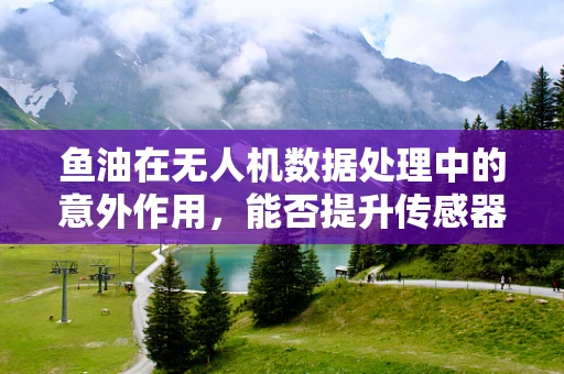 鱼油在无人机数据处理中的意外作用，能否提升传感器性能？