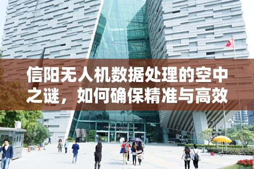 信阳无人机数据处理的空中之谜，如何确保精准与高效？