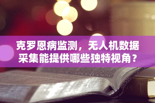 克罗恩病监测，无人机数据采集能提供哪些独特视角？