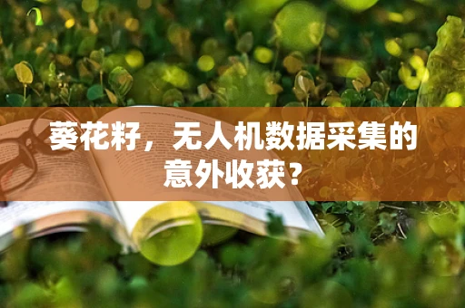 葵花籽，无人机数据采集的意外收获？