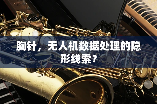 胸针，无人机数据处理的隐形线索？
