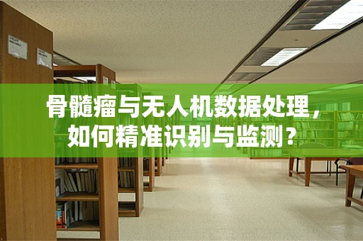 骨髓瘤与无人机数据处理，如何精准识别与监测？