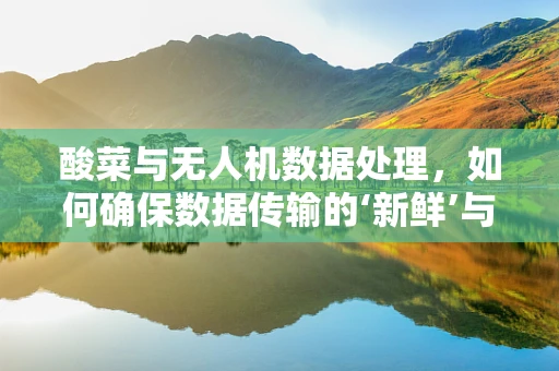 酸菜与无人机数据处理，如何确保数据传输的‘新鲜’与‘安全’？