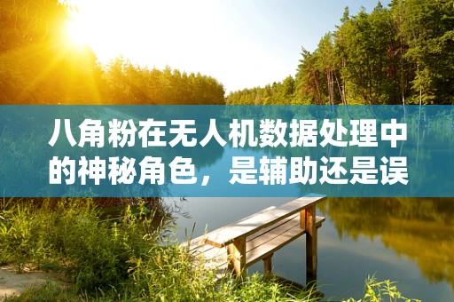 八角粉在无人机数据处理中的神秘角色，是辅助还是误导？