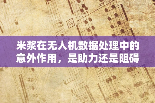 米浆在无人机数据处理中的意外作用，是助力还是阻碍？