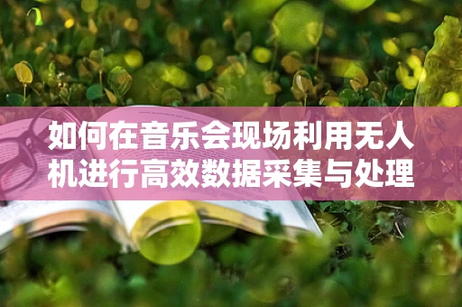 如何在音乐会现场利用无人机进行高效数据采集与处理？