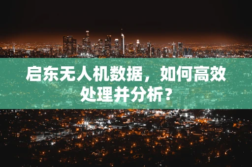 启东无人机数据，如何高效处理并分析？