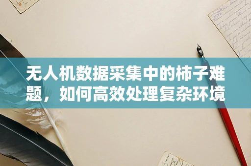 无人机数据采集中的柿子难题，如何高效处理复杂环境下的果实识别？