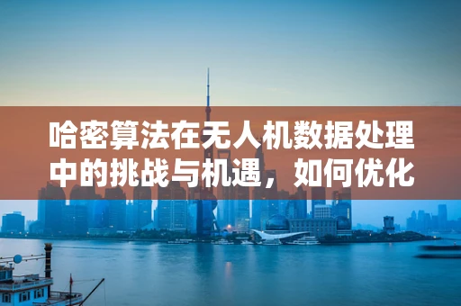 哈密算法在无人机数据处理中的挑战与机遇，如何优化数据压缩效率？