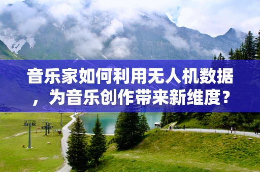音乐家如何利用无人机数据，为音乐创作带来新维度？
