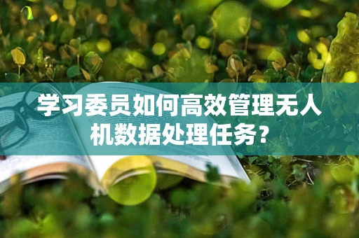 学习委员如何高效管理无人机数据处理任务？