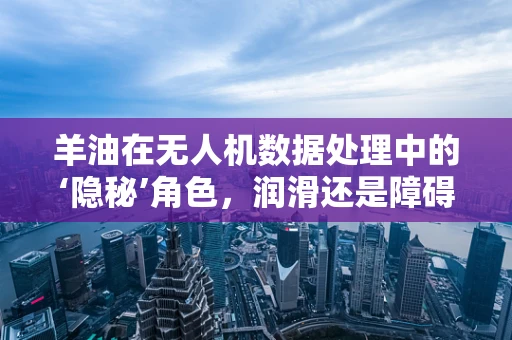羊油在无人机数据处理中的‘隐秘’角色，润滑还是障碍？