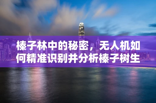 榛子林中的秘密，无人机如何精准识别并分析榛子树生长数据？