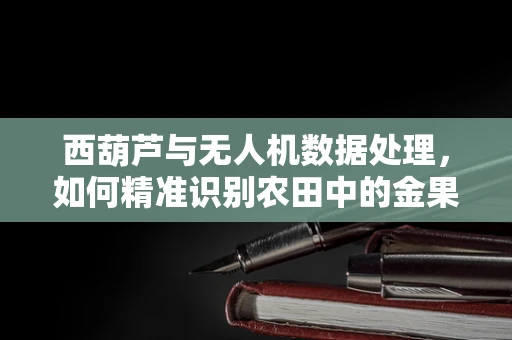 西葫芦与无人机数据处理，如何精准识别农田中的金果？