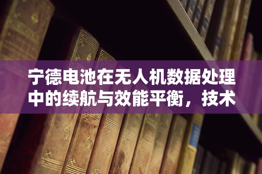 宁德电池在无人机数据处理中的续航与效能平衡，技术挑战与解决方案？