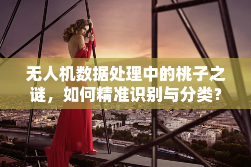 无人机数据处理中的桃子之谜，如何精准识别与分类？