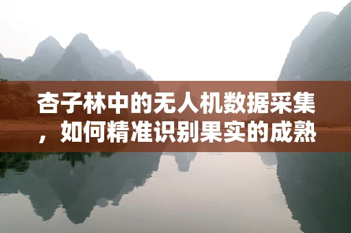 杏子林中的无人机数据采集，如何精准识别果实的成熟度？