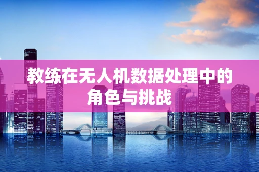 教练在无人机数据处理中的角色与挑战