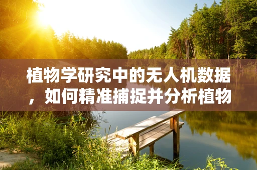 植物学研究中的无人机数据，如何精准捕捉并分析植物生长的微妙变化？