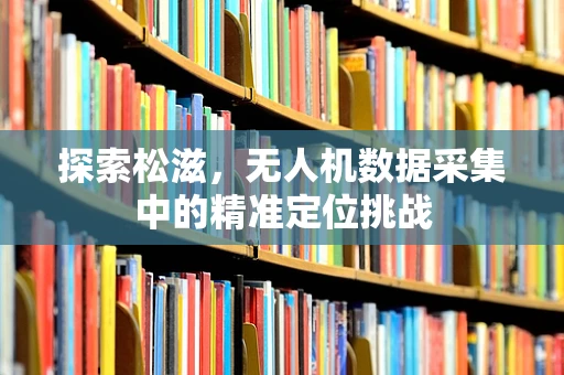 探索松滋，无人机数据采集中的精准定位挑战