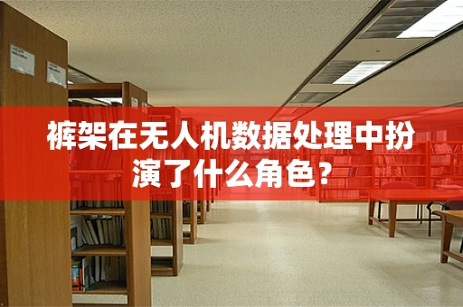 裤架在无人机数据处理中扮演了什么角色？