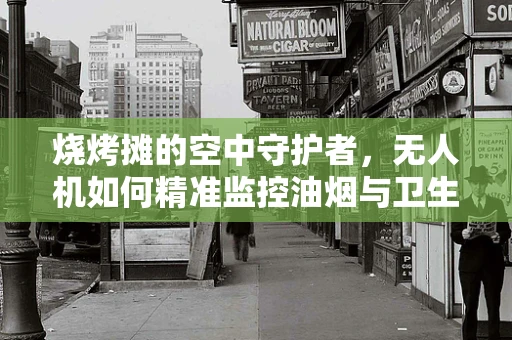 烧烤摊的空中守护者，无人机如何精准监控油烟与卫生状况？